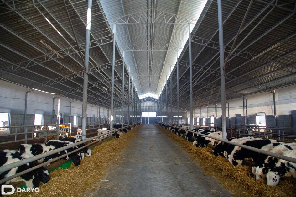 Андижан поможет в обучении афганских сельхоз специалистов 